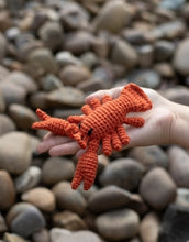Load image into Gallery viewer, TOFT Mini Jordan the Lobster