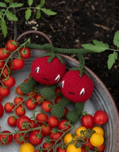 Load image into Gallery viewer, TOFT Cherry Tomato Kit